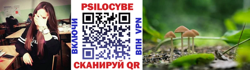 OMG ссылка  закладки  Струнино  Псилоцибиновые грибы GOLDEN TEACHER 